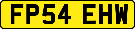 FP54EHW