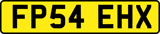 FP54EHX