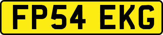 FP54EKG
