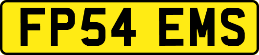 FP54EMS