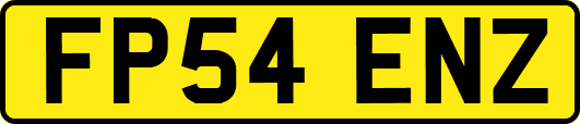 FP54ENZ