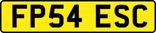 FP54ESC