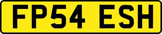 FP54ESH