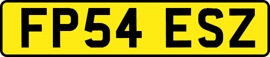 FP54ESZ