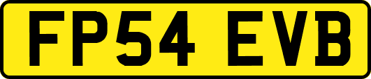 FP54EVB