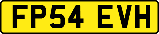 FP54EVH
