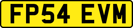 FP54EVM