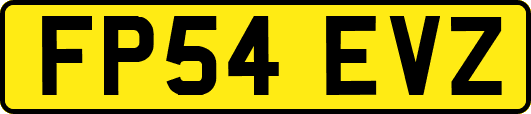 FP54EVZ