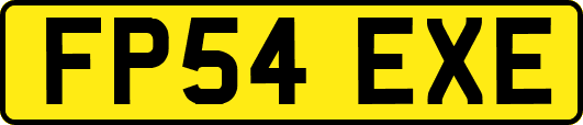 FP54EXE