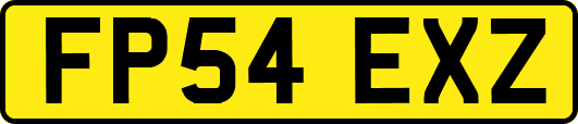 FP54EXZ