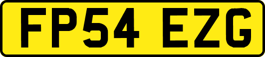 FP54EZG