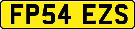 FP54EZS