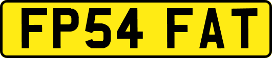 FP54FAT