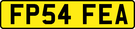 FP54FEA