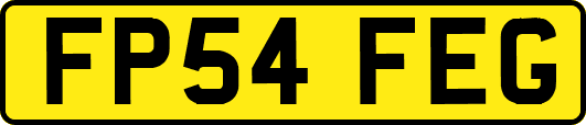 FP54FEG