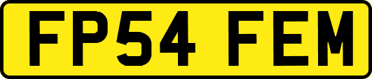 FP54FEM