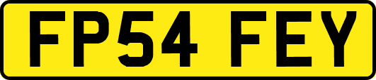 FP54FEY