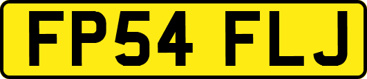 FP54FLJ