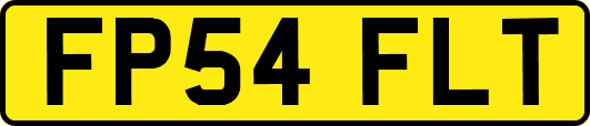 FP54FLT