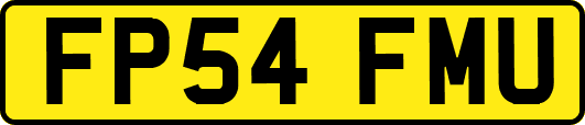 FP54FMU