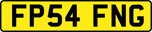 FP54FNG
