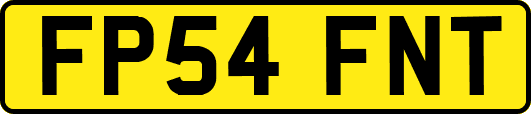 FP54FNT