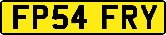 FP54FRY