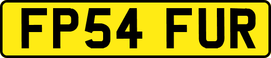 FP54FUR