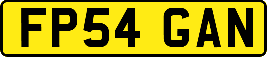 FP54GAN