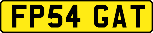 FP54GAT