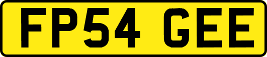 FP54GEE