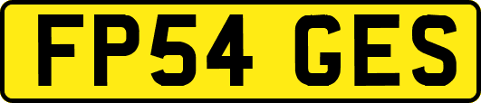 FP54GES