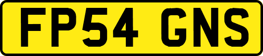FP54GNS