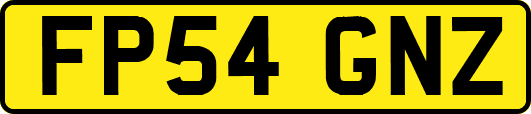 FP54GNZ