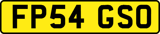 FP54GSO