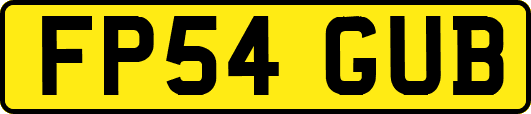 FP54GUB