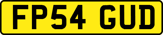 FP54GUD