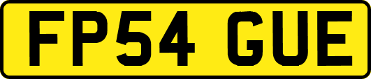 FP54GUE