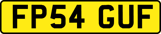 FP54GUF