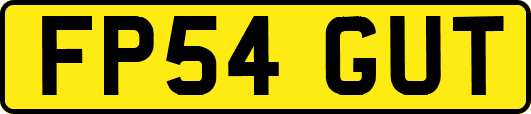 FP54GUT
