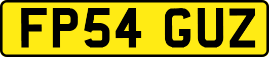 FP54GUZ