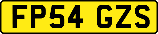 FP54GZS