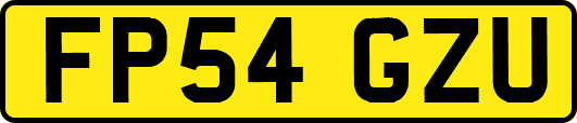 FP54GZU