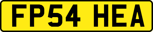 FP54HEA