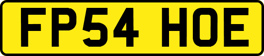 FP54HOE