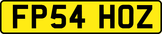 FP54HOZ