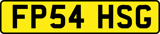 FP54HSG