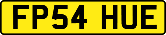 FP54HUE