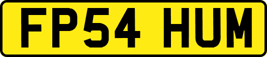 FP54HUM