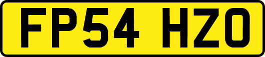 FP54HZO